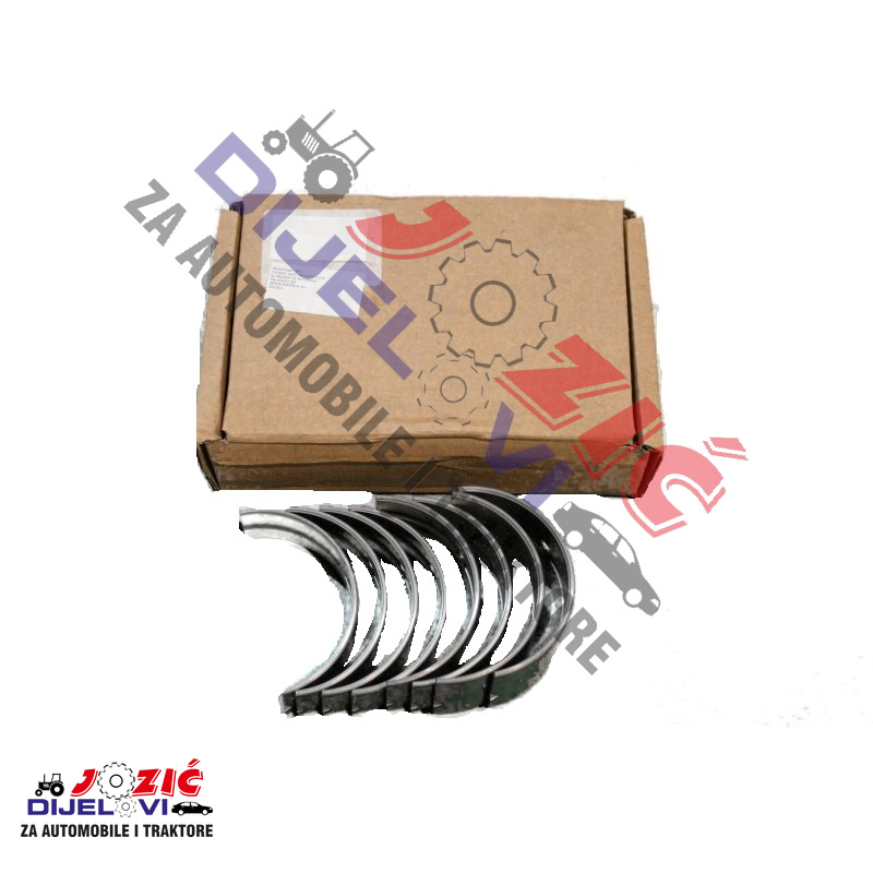 Daisy on the Ohoopee